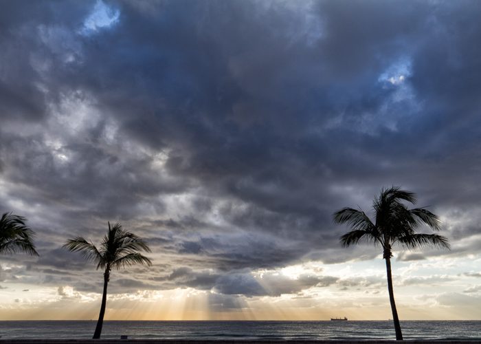 Palm trees silhouetted against a cloudy dawn sky over the ocean.