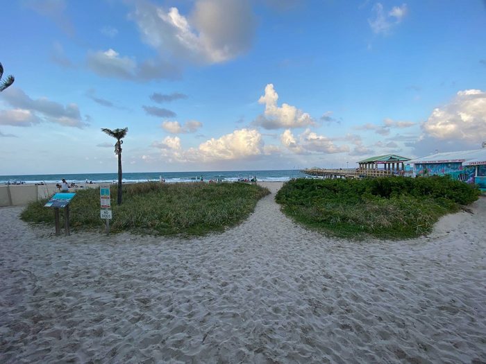 Wide sand, sea grapes and the Atlantic under a blue sky with scattered clouds at Lauderdale-by-the-Sea beach.